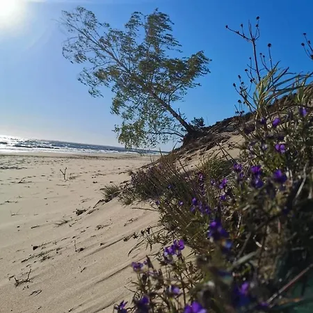 M&k Nadmorski Zagajnik - Sobieszewo, Wyspa Sobieszewska 格但斯克